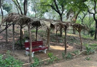 Nature's Shelter: Turning Park Waste into a visual treat for People